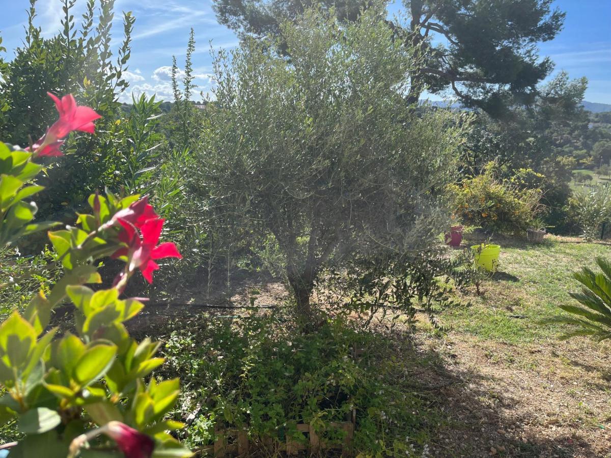 Apartamento Charme Et Calme Marsella Exterior foto